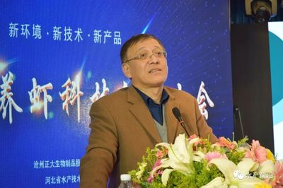 大汪子、工厂化增产有何妙招?400养虾人共同探讨环渤海养虾新模式和秘诀