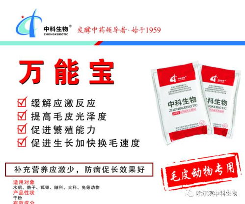 第三届 2017 山东毛皮动物产业发展大会暨山东省畜牧协会特养分会第三届会员代表大会 正在进行时