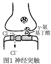 河北省衡水市桃城区十四中2019-2020学年高一下学期第二次综合测试生物试题