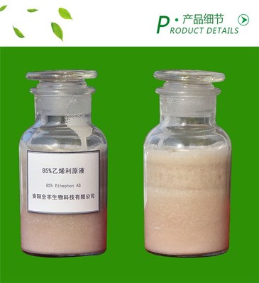 全丰生物科技 固体乙烯利价格 河北固体乙烯利