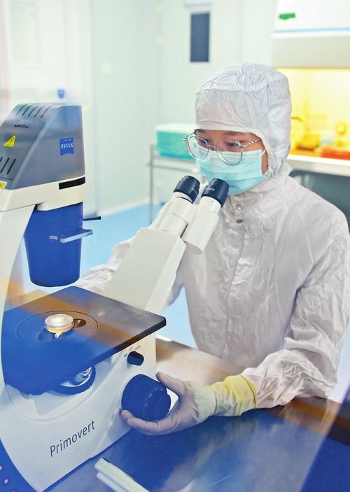 瞭望 治国理政纪事 协同发展彰显新担当