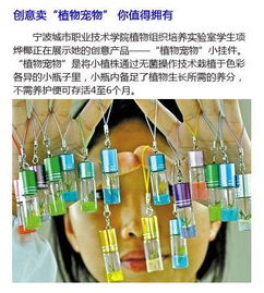 从北大屠夫到河北生物创业者 高学历人才投身传统行业的创新启示