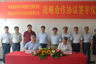 河北三农土壤修复再添利器 S506菌株使用权转让协议成功签署