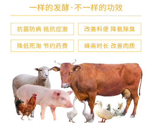 替抗生物饲料招代理 替抗生物饲料 河北泰朗生物饲料价格高清图片 高清大图