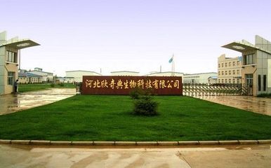供应南瓜籽油 1级 欣奇典生产 - 中国制造交易网
